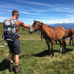 Paarden op de Monte Bregagno
